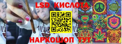 гидра Донецк