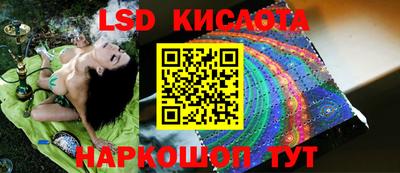 гидра Донецк