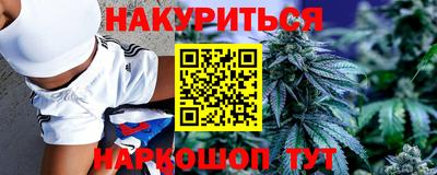 сатива Дубна