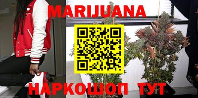 гидра Донецк