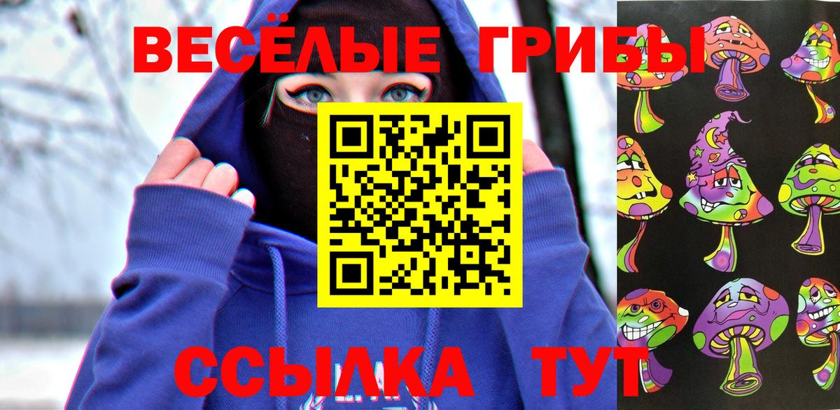 Дивногорск  Псилоцибиновые грибы Magic Shrooms  купить закладку  Вход с VPN 