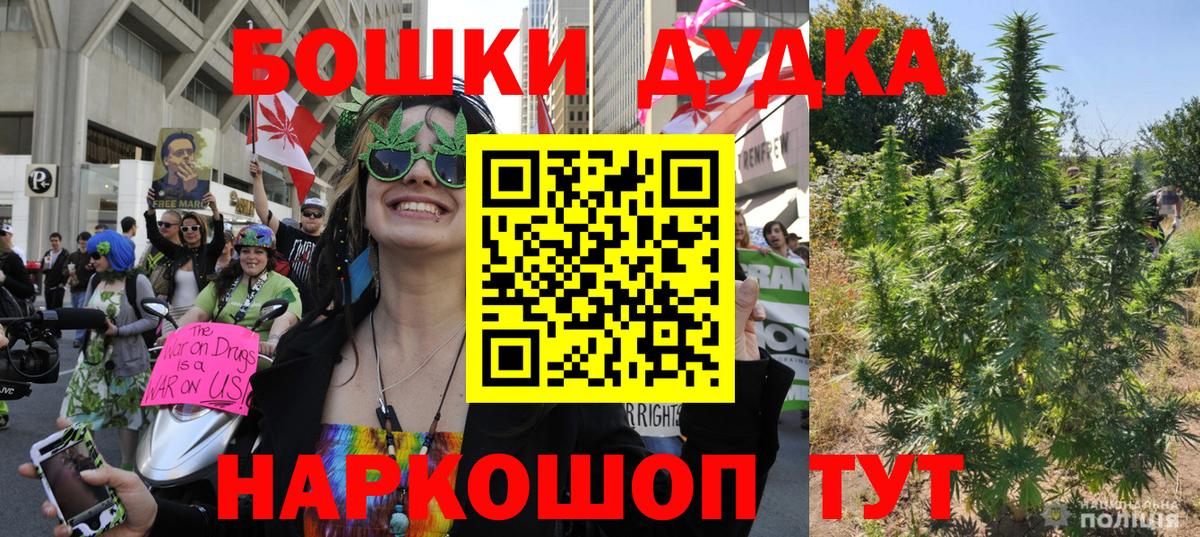 Дивногорск  Бошки марихуана индика  Марихуана планчик  Вход с VPN  Конопля White Widow  Бошки марихуана White Widow 